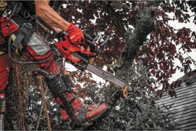 Milwaukee - M18 FUEL Akku Top-Handle Kettensäge 35cm (M18 FTHCHS35-0) ohne Akku & Ladegerät im Karton (4933479588)