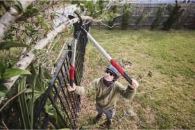 Milwaukee - Bypass Astschere 85cm (4932498625)